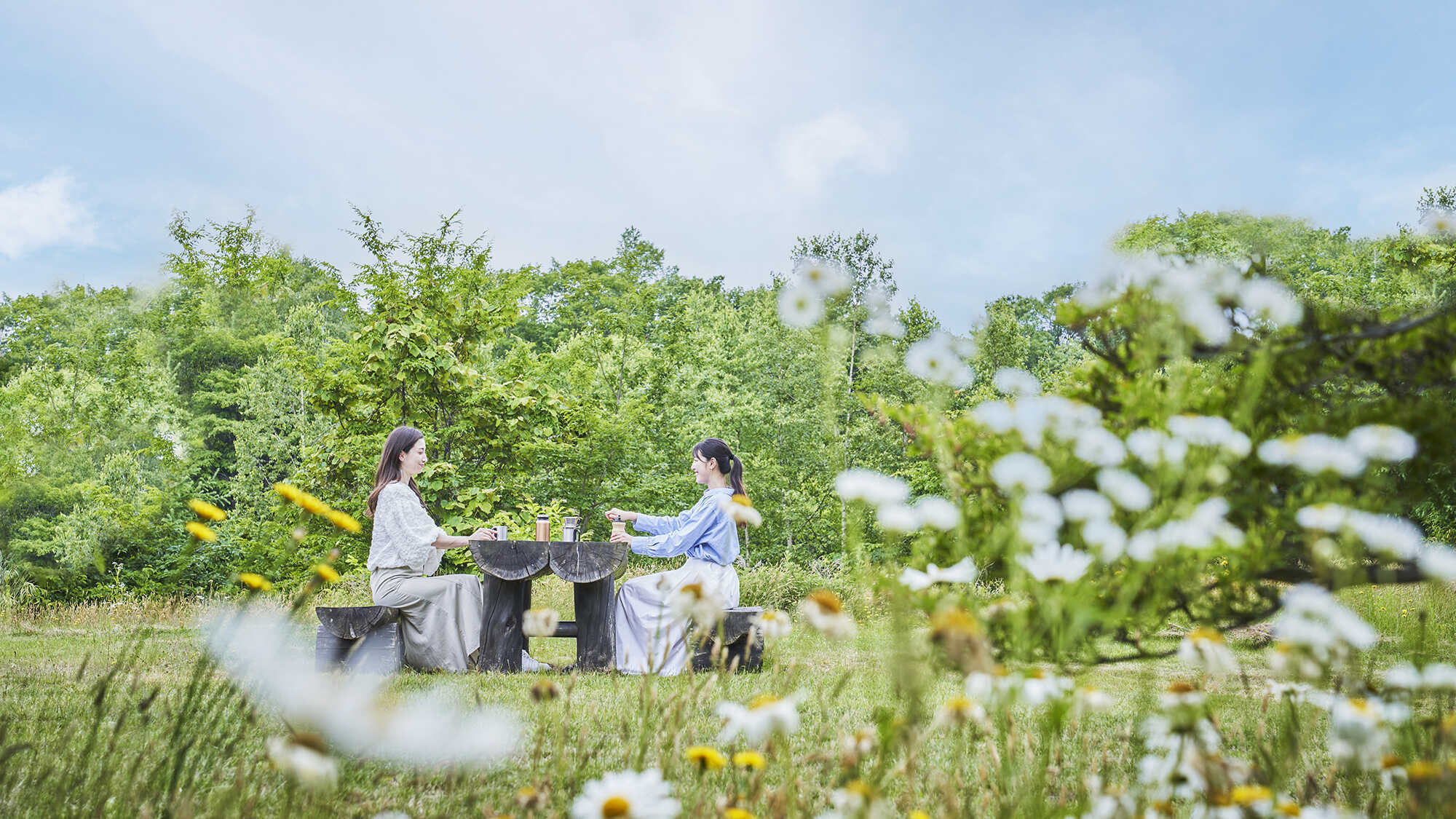 【ベーシックレート】室料のみ