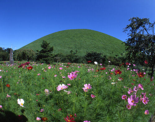 大室山の夏