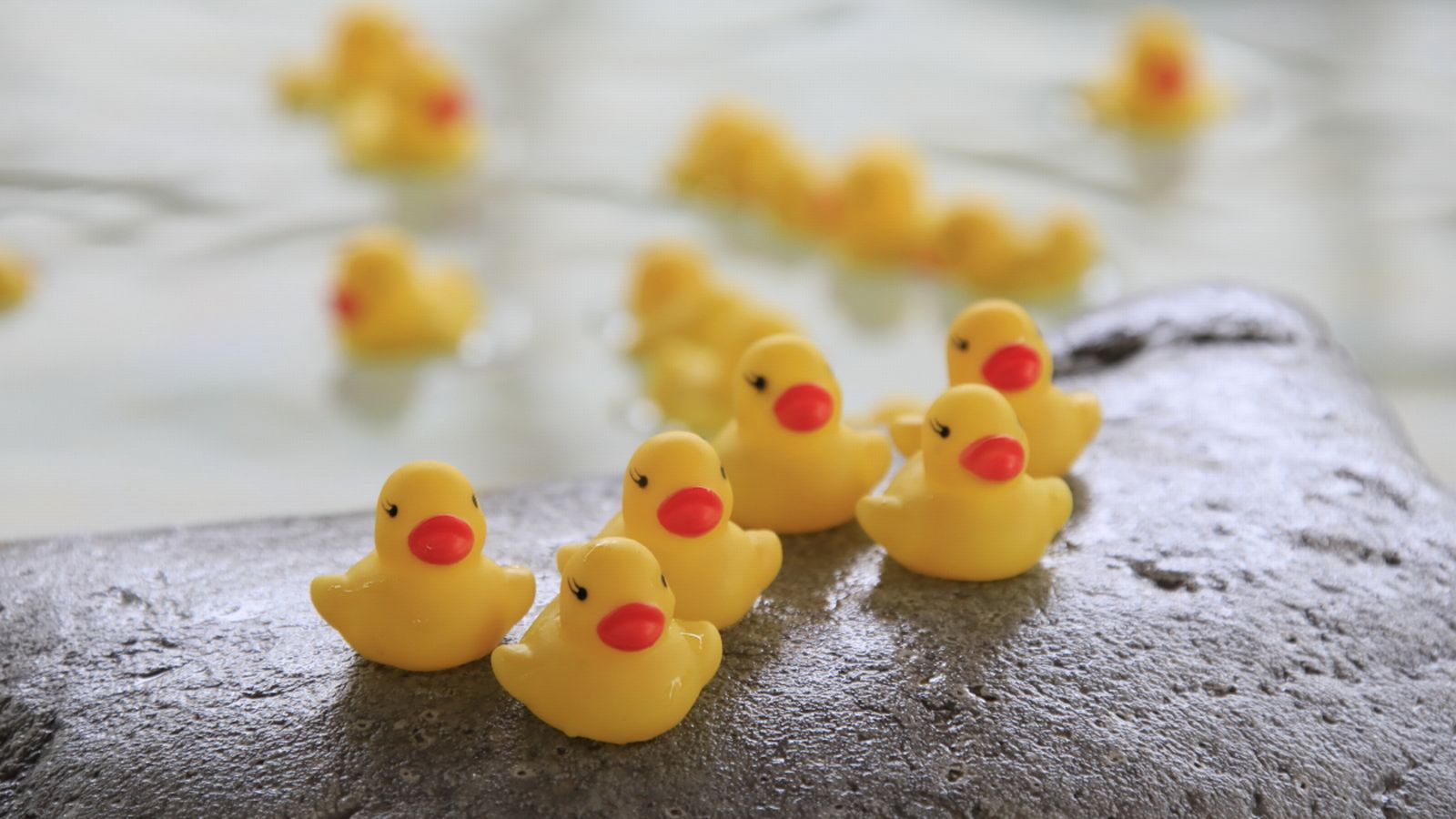 Batou Onsenkyo Nampeidai Onsen Hotel Image 4, Nasushiobara, Japan