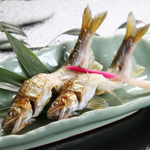 【庄川名物】鮎の塩焼き
