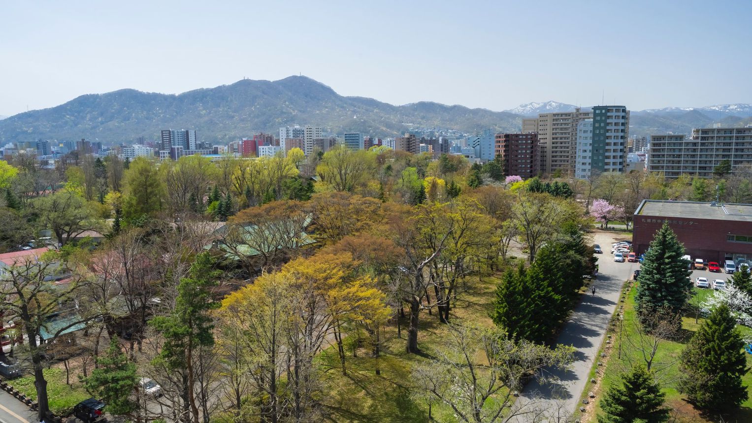 中島公園春