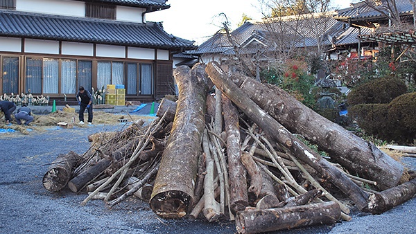 *【1月】初詣は奈良・和歌山の神社仏閣へ。写真は橋本市の隅田八幡神社境内。