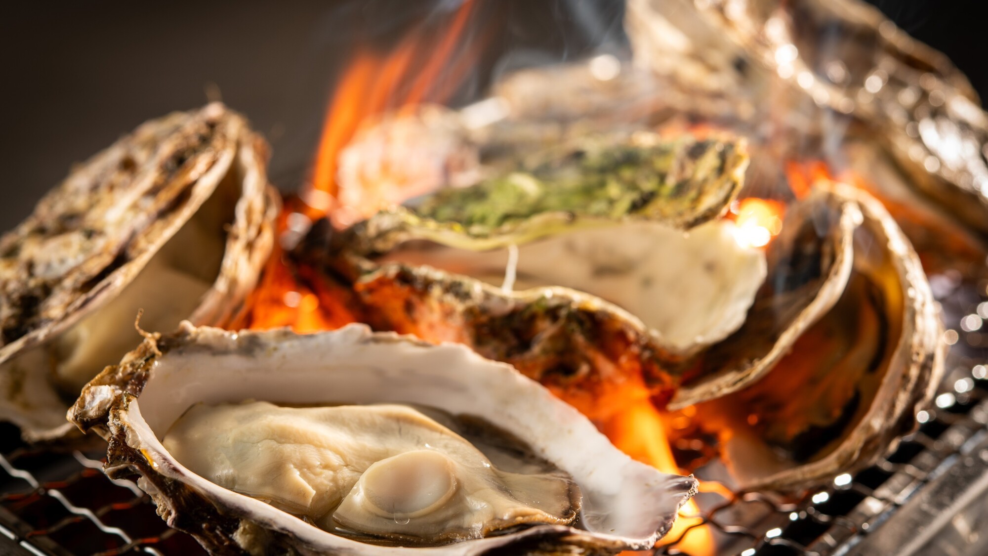 浜焼きイメージ（牡蠣）