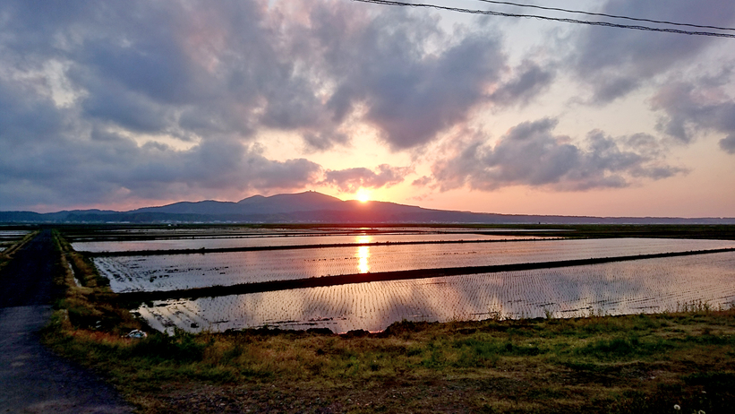 夕日（田んぼ）