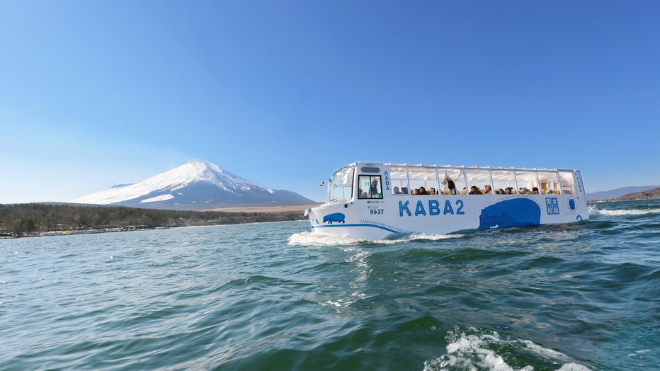 【山中湖のカバ（水陸両用バス）】当館より徒歩約1分。陸と水上から富士山や山中湖を満喫できる。