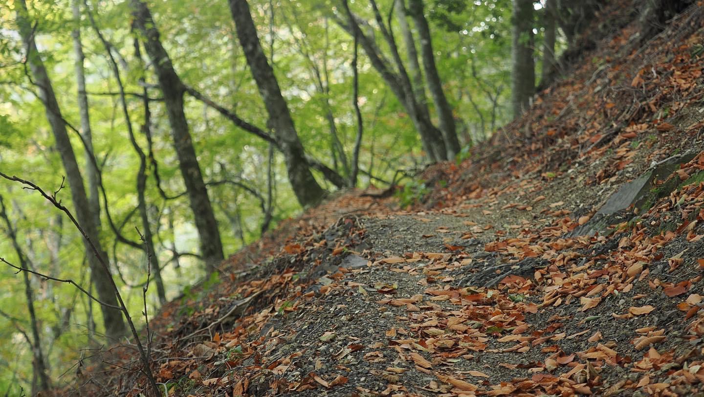 軽登山プラン