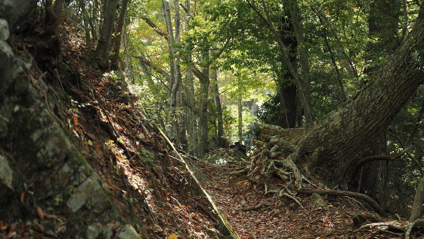 軽登山プラン