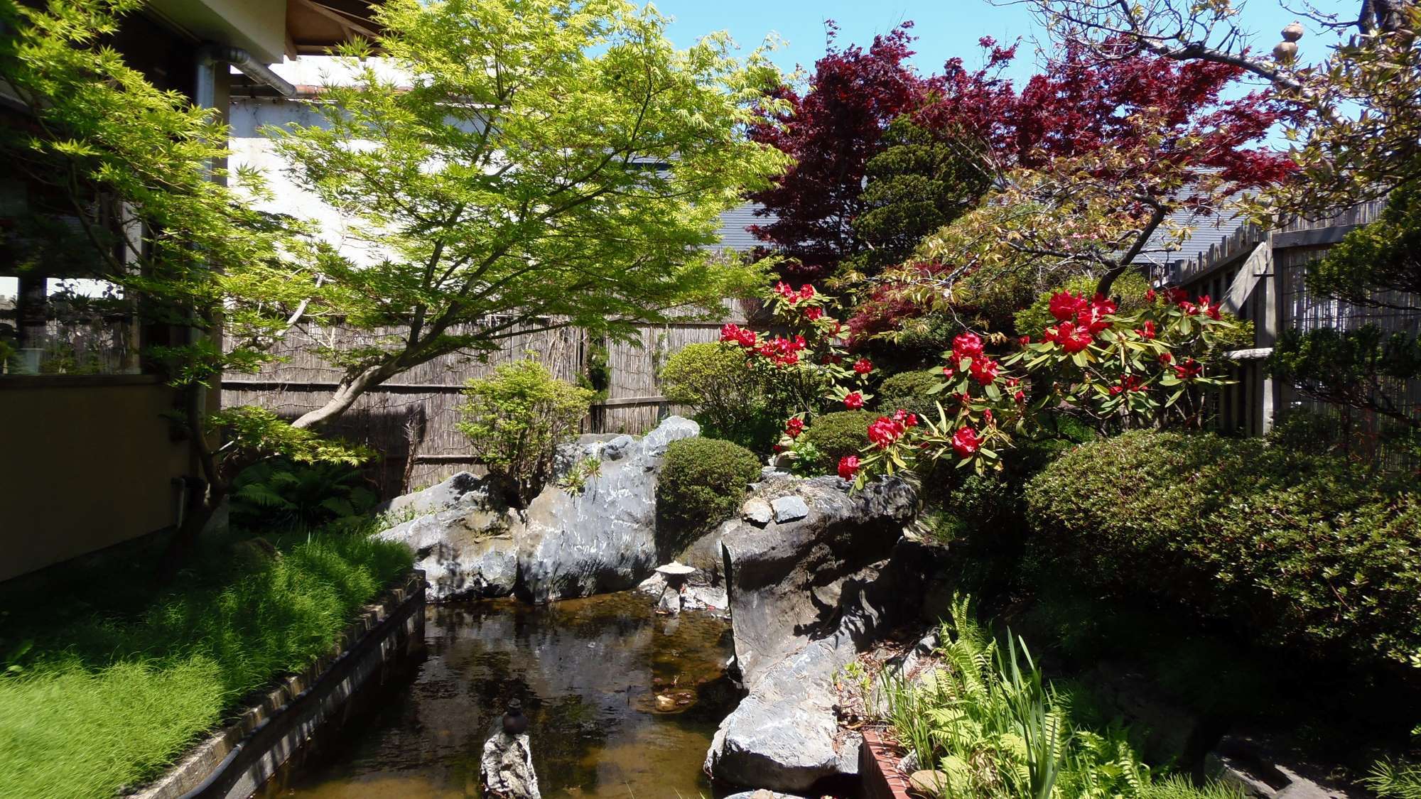 ・四季折々の草花が楽しめるお庭の池