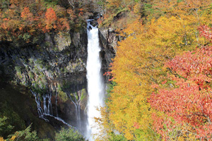 紅葉奏でる世界遺産日光東照宮と華厳の滝