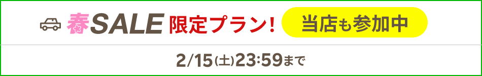 Rental Car Shop HANDYMAŃyRakuten Travel tSALEz13,300~`/12IAt@[hHNX_A