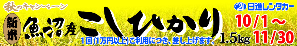 i^J[́`H̃Ly[`VYVĂЂ1.5kgv[gI