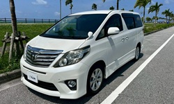 NJ^J[̃At@[h Ft@CA  ԎNws TOYOTA~jov