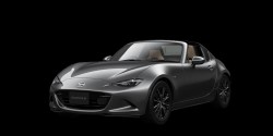 RYUKYU PREMIUM DRIVẼI[vJ[