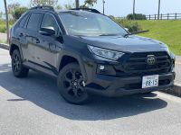 ObhXs[h^J[̃~hTCYSUVNX@RAV4