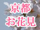 http://img.travel.rakuten.co.jp/share/mail/img/20110210/le/sakura.jpg