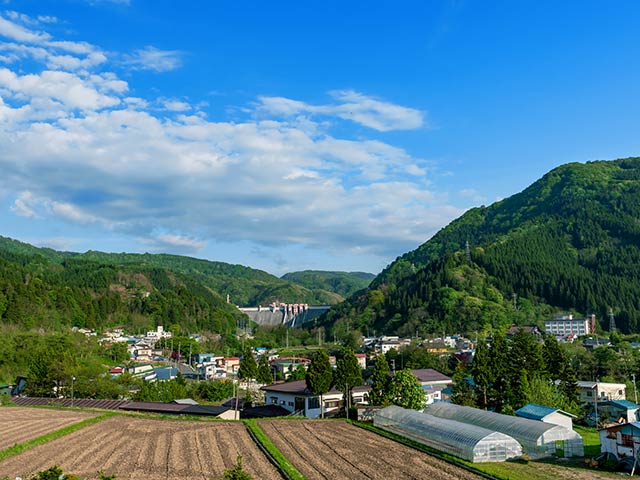 Ή