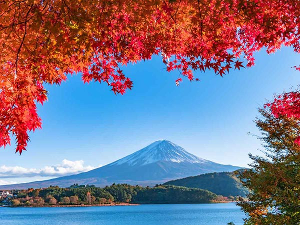富士山といえば…あの写真はココで撮れる！実際に行ってみよう！