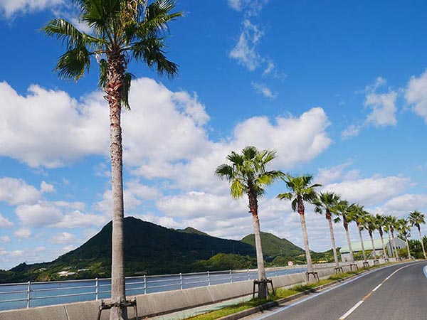 しまなみ海道サイクリング！初心者でも楽しめる生口島おすすめコース