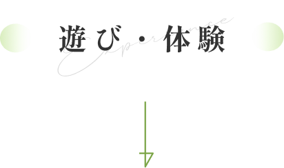 遊び・体験