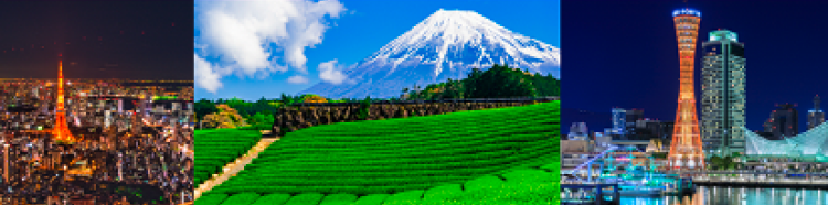 ふるさと納税で旅行にいこう