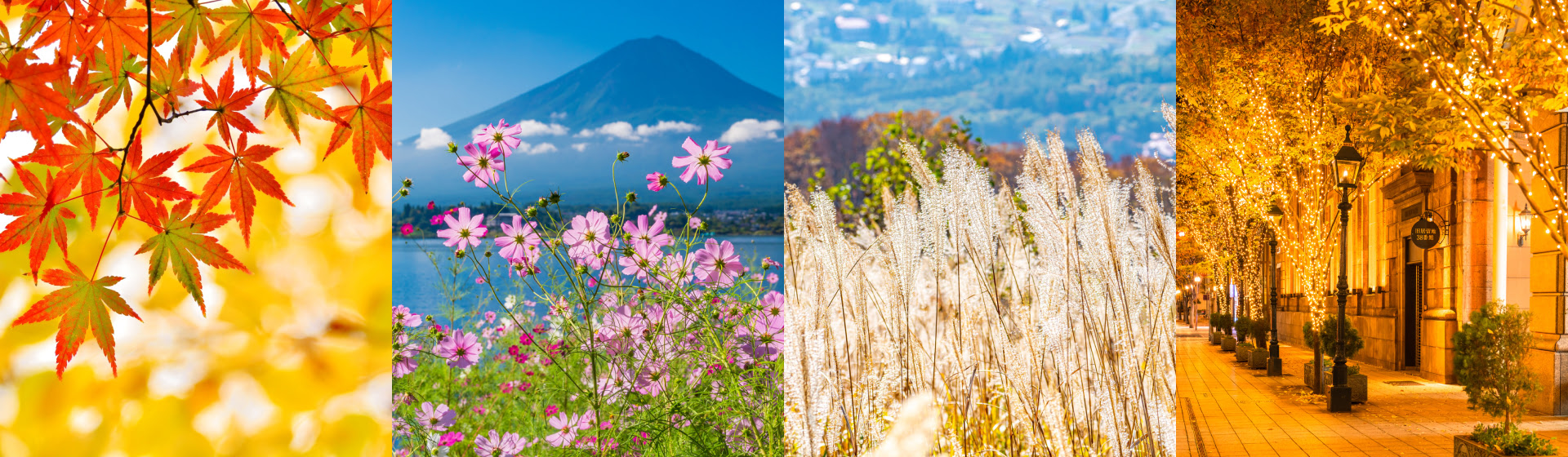 連休旅行特集