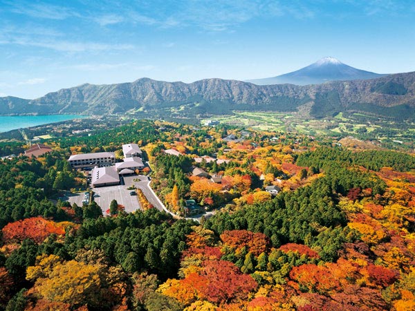 仙石原温泉　ホテルグリーンプラザ箱根