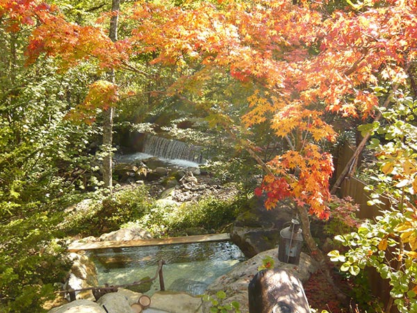 山里のいおり　草円