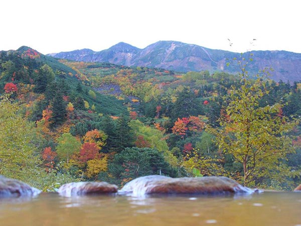 十勝岳温泉　凌雲閣