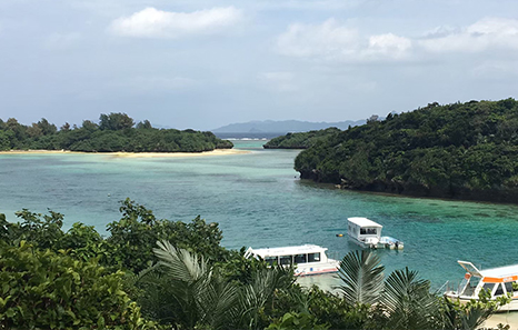 がん治療の合間に家族と沖縄旅南国の緑に感じる生命の息吹と生かされた意味