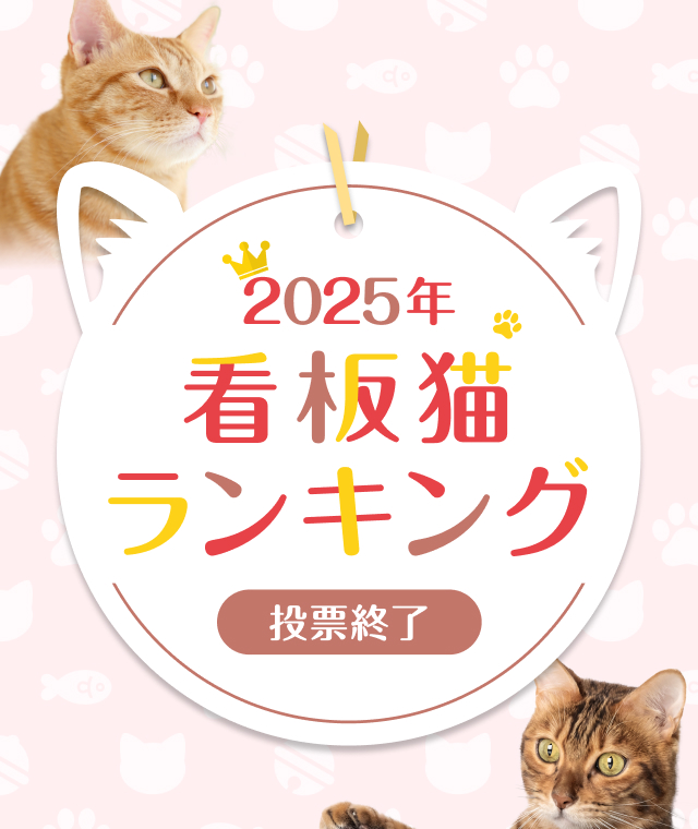 2025年 看板猫ランキング