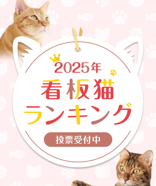 2025年 看板猫ランキング