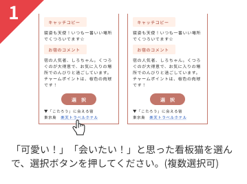 「かわいい！」「会いたい！」と思った看板猫を選んで、選択ボタンを押してください。(複数選択可)