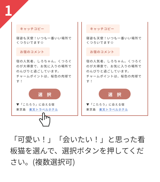 「かわいい！」「会いたい！」と思った看板猫を選んで、選択ボタンを押してください。(複数選択可)