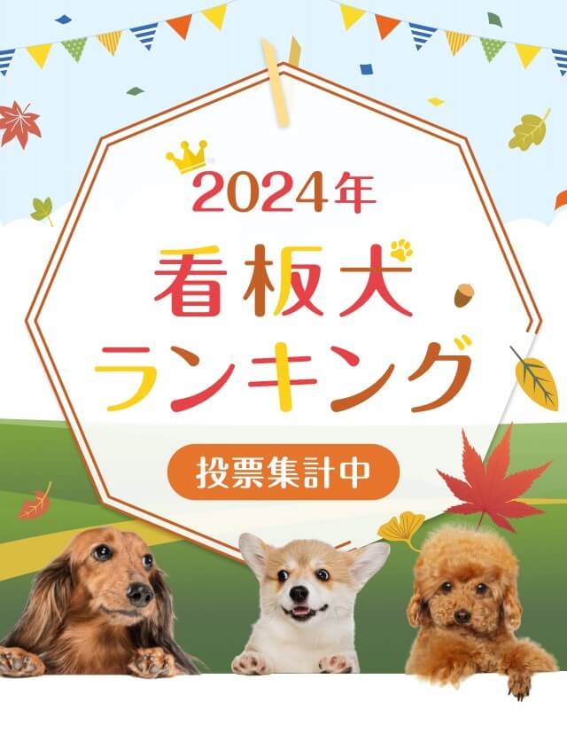 2024年看板犬ランキング