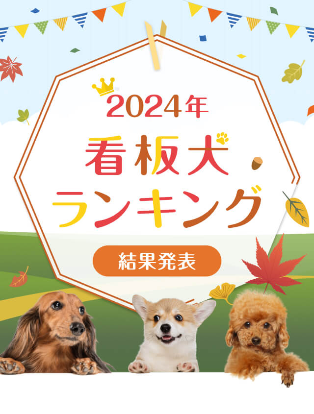 2024年看板犬ランキング