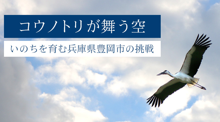 コウノトリが舞う空～いのちを育む兵庫県豊岡市の挑戦