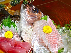 伊勢二見　愛犬と泊まれる旅館　まつしん