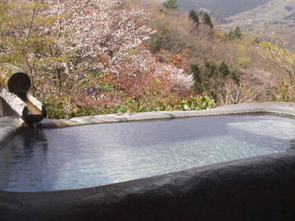 箱根強羅温泉　コージーイン　箱根の山