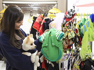 ウブドの森　伊豆高原