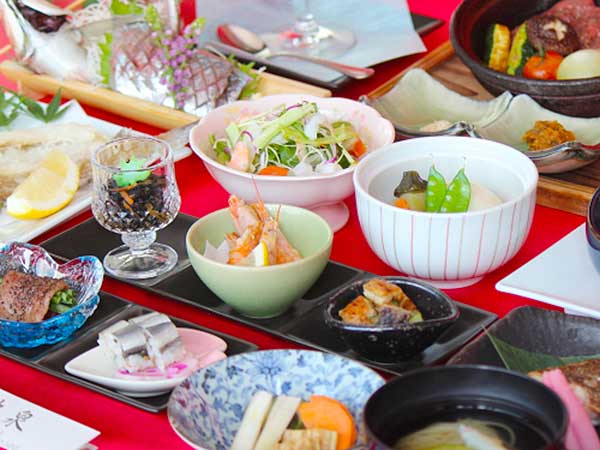 薬湯　冬桜の宿　神泉