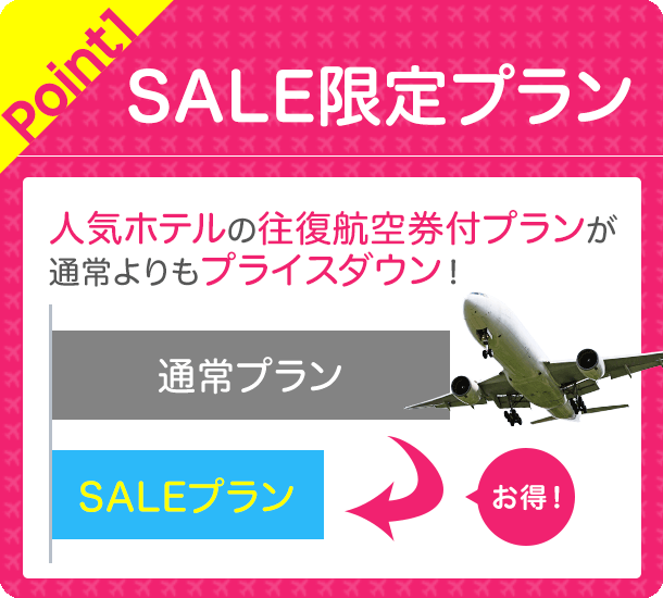 SALE限定プラン