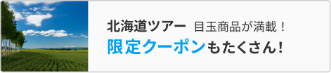 ポイント10~20倍のSALEプラン