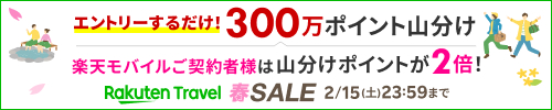 300万ポイント山分け