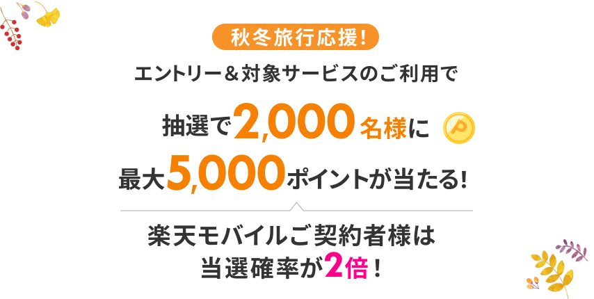 エントリー＆対象サービスのご利用で抽選2,000名様に最大5,000ポイントが当たる！