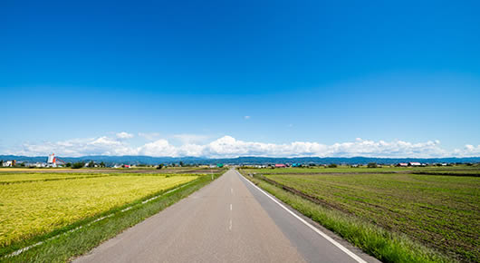 夏の人気エリア北海道