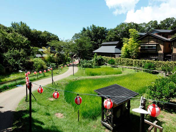 八幡野温泉郷　杜の湯　きらの里