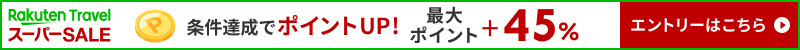 条件達成でポイントUP！最大ポイント＋45％