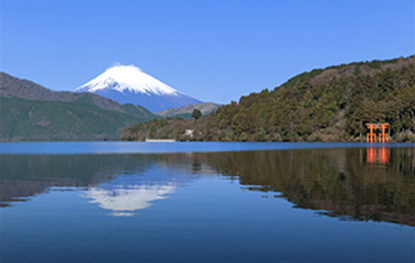 冬に行きたい、伊豆・箱根