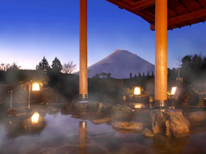 富士山を一望できる宿　仙石原温泉　ホテルグリーンプラザ箱根