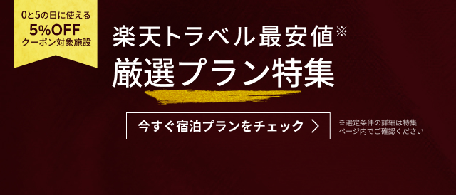 厳選プラン特集
